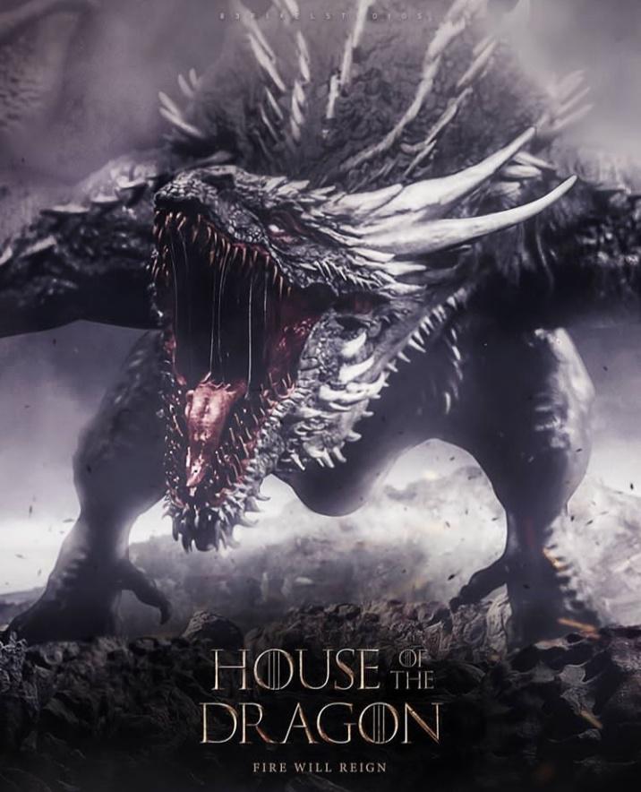 House of Dragons, ecco cosa ne pensa Martin