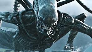 Alien 5, il seguito di Covenant è già in lavorazione. 1 images 19