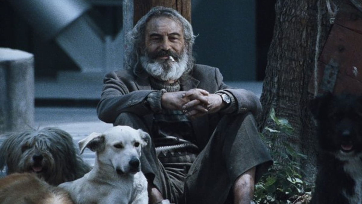 I consigli di Cinemike: "Amores perros" 1 Progetto senza titolo 2 1