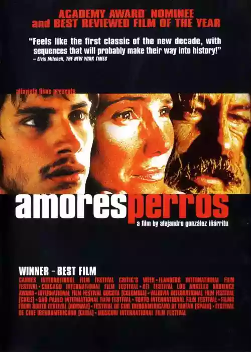 I consigli di Cinemike: "Amores perros" 2 p files 2015 42888.jpgo0c0f0w1d500aCh0
