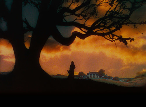 I consigli di Cinemike: "Via col vento" 1 ViaColVento 0