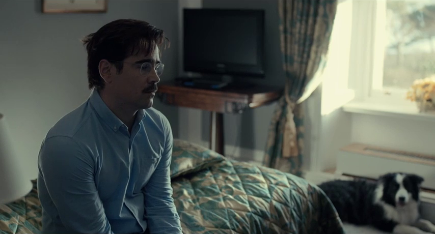 I consigli di Cinemike: "The Lobster" 1 The Lobster